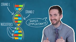 Clint Explains DNA Base Pairing Rules [upl. by Zared]