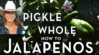 How to Pickle Whole Jalapeno Peppers  Easy Beginner Method [upl. by Desiri]