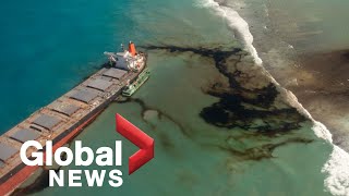 Mauritius oil spill Experts fear catastrophic ecological disaster [upl. by Calysta]