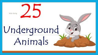 Underground Animals  Animals That Live Underground  geographic animals  Kids Entry [upl. by Llekcm]