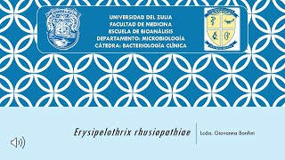 Tema 4 Erysipelothrix rhusiopathiae [upl. by Delisle]