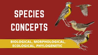 SPECIES CONCEPTS BIOLOGICAL MORPHOLOGICAL ECOLOGICAL PHYLOGENETIC [upl. by Chapland]