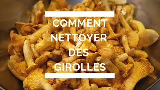 comment nettoyer des girolles [upl. by Atiuqehc]