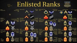 US Military All Branches ENLISTED Ranks Explained [upl. by Eliza]