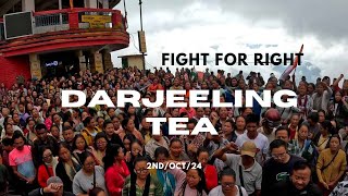 Fight for right Darjeeling tea workers [upl. by Novaelc]