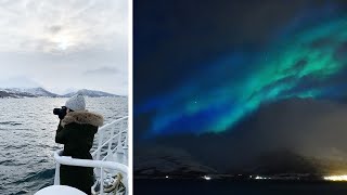 TROMSØ Fjord cruise amp Northern lights  vlog 37 [upl. by Hughmanick]