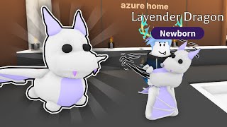 Heres how to obtain the LAVENDER DRAGON [upl. by Rosamond]