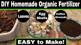 Easy DIY Homemade Organic Garden Fertilizer [upl. by Robet]