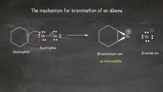 Bromination of cyclohexene [upl. by Nomihs]