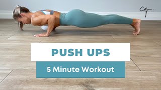 5 Minute Push Ups Workout at Home [upl. by Lynus]