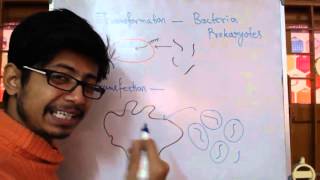 Transformation Vs Transfection [upl. by Adanama]