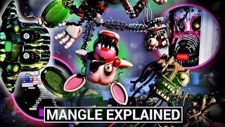 FNAF Animatronics Explained  MANGLE Five Nights at Freddys Facts [upl. by Nuri]