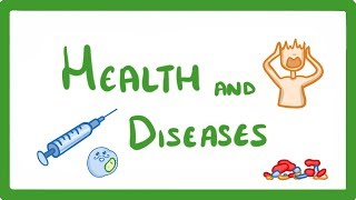 GCSE Biology  Health and Disease 33 [upl. by Finnigan785]