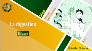 3ème Sciences Expérimentales  Résumé de cours  La digestion [upl. by Imarej]