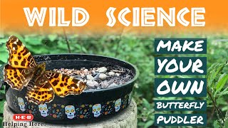 WILD SCIENCE Bonus Vid DIY Butterfly Puddler [upl. by Nyletak]