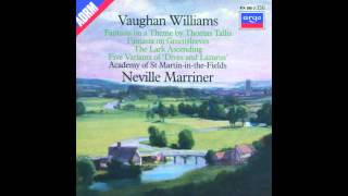 Vaughan Williams  The Lark Ascending [upl. by Akinyt59]