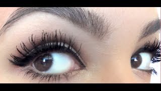 Perfect Mascara Routine for Huge Long Lashes [upl. by Nisaj550]