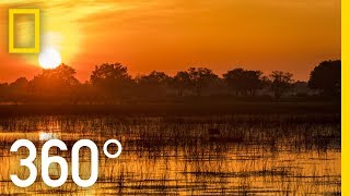 The Okavango After Dark in 360  Ep 3  The Okavango Experience [upl. by Oderfla590]