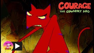 Courage The Cowardly Dog  Cajun Fox  Cartoon Network [upl. by Slorac243]