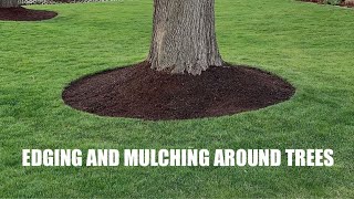 EDGING and MULCHING around TREES  How to get a CLEAN LOOK [upl. by Acimak]