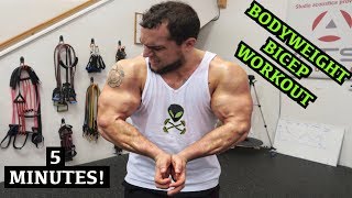 Intense 5 Minute At Home Bicep Workout 2 [upl. by Nifled]