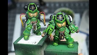 Edge Highlighting Salamander Aggressors [upl. by Katheryn]