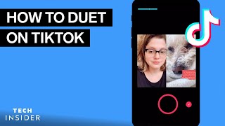 How To Duet On TikTok [upl. by Newbill]