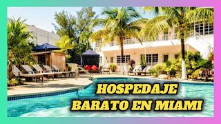 10 HOTELES MÁS BARATOS DE MIAMI [upl. by Assiralc]