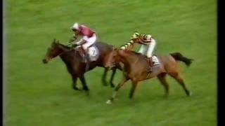 1984 Tingle Creek Handicap Chase [upl. by Aselehc]