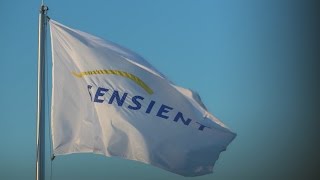 What is Sensient [upl. by Merari]