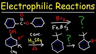 Electrophilic Aromatic Substitution Reactions Made Easy [upl. by Boyt]