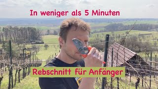 Rebschnitt für Anfänger [upl. by Orlando]