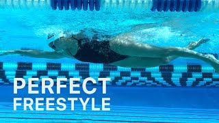 How To Swim Freestyle With Perfect Technique [upl. by Nnorahs]