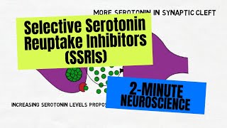 2Minute Neuroscience Selective Serotonin Reuptake Inhibitors SSRIs [upl. by Otila]