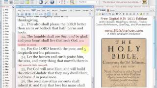 Free Original 1611 King James Bible Bible Analyzer Software Longer Demo [upl. by Onilegna]