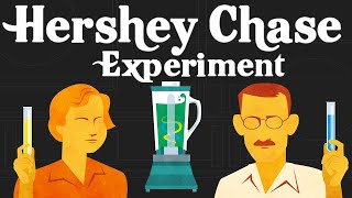 Hershey and Chase ExperimentFinding the genetic material T2 bacteriophage [upl. by Leamsi]