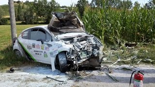 Rally Crash Compilation  Best of rally [upl. by Fassold620]