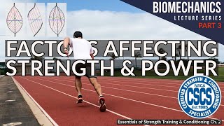 Factors Affecting Muscle Strength and Power  CSCS Chapter 2 [upl. by Halilak]