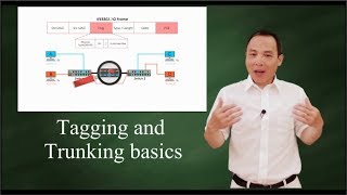 IEEE 802 1Q Tagging and Trunking 101 [upl. by Ikcin824]