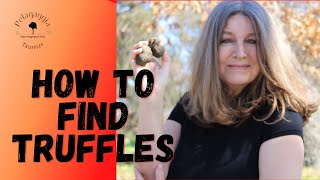 How to find truffles  Tutorial for Beginners [upl. by Eniger543]