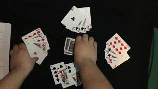 Euchre for Beginners [upl. by Enaitsirk617]