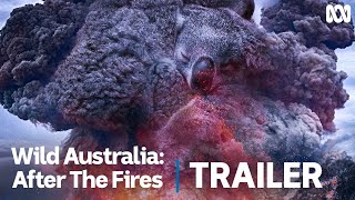 Wild Australia After the Fires  Official Trailer [upl. by Lorollas]