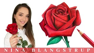 How to Draw a Realistic Rose  Step by Step Tutorial for Beginners [upl. by Chema]