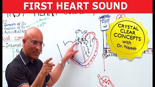 How the Heart Works  Physiology  Biology  FuseSchool [upl. by Theis987]