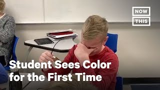 Student Sees Color for First Time With EnChroma Glasses  NowThis [upl. by Yankee]