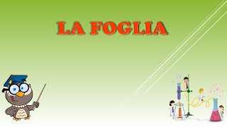 La foglia [upl. by Isiah]