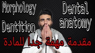 دينتال اناتومي ـ الجزء الاول  Important dental terms amp introduction of dental Anatomy [upl. by Peih774]