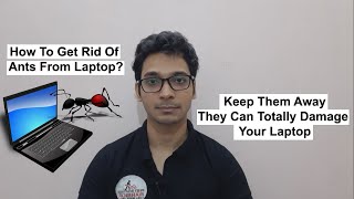 How To Get Rid Of Ants From Laptop [upl. by Decima]