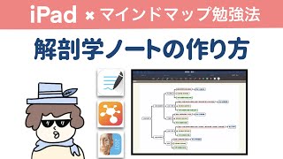 【iPad勉強法】解剖学が得意になるノート作り（マインドマップ） [upl. by Amadeo305]