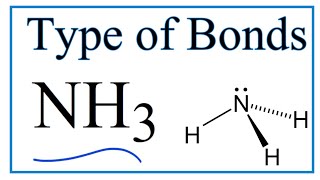 Type of Bonds for NH3 Ammonia [upl. by Schuler748]